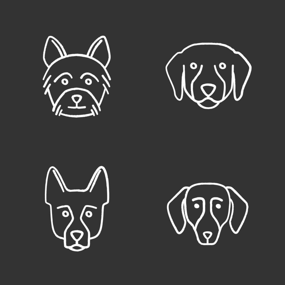 hondenrassen krijt pictogrammen instellen. yorkshire terrier, labrador retriever, duitse herder, teckel. geïsoleerde vector schoolbord illustraties