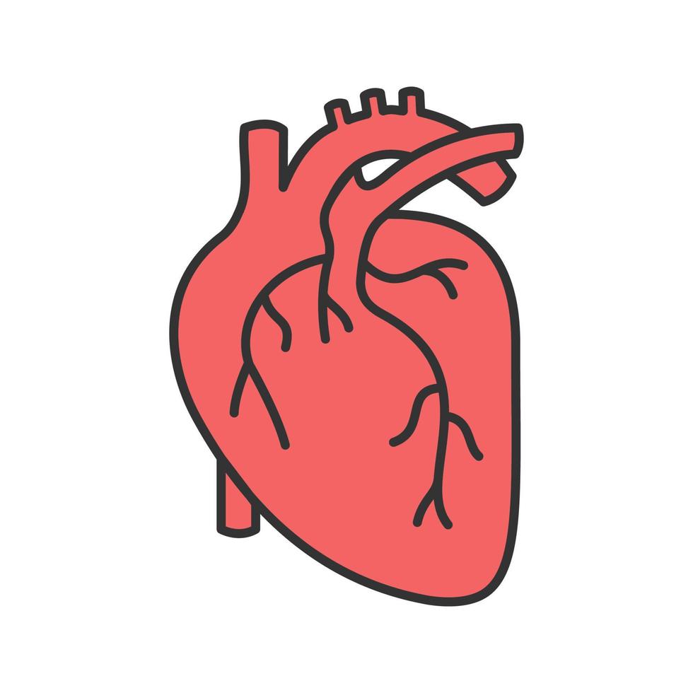 menselijk hart anatomie kleur pictogram. geïsoleerde vectorillustratie vector