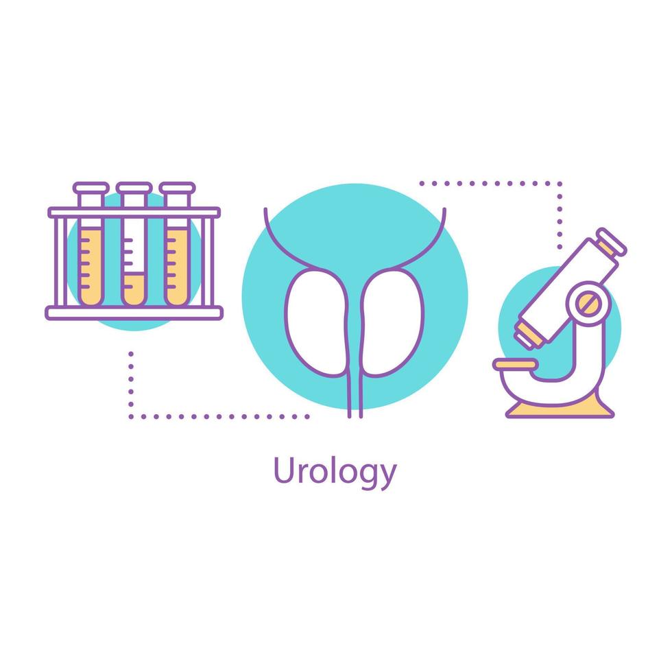 urologie concept icoon. idee voor de gezondheid van de prostaat voor mannen. dunne lijn illustratie. mannelijk voortplantingssysteem. vector geïsoleerde overzichtstekening