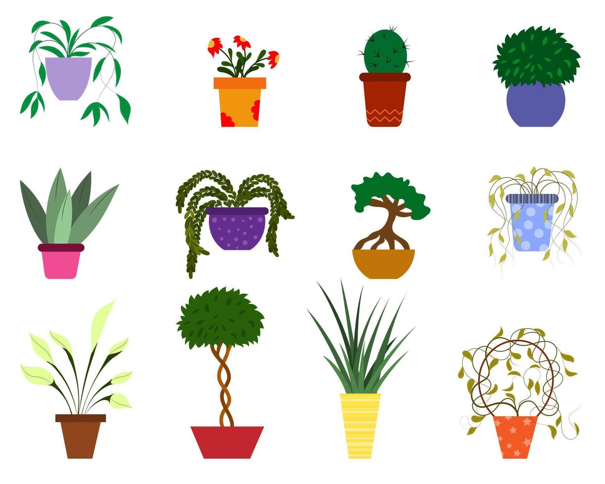 potplant set van vectorillustraties. cartoon flat diverse indoor decoratieve potplanten voor thuis of op kantoor interieurdecoratie. geïsoleerd op een witte achtergrond vector