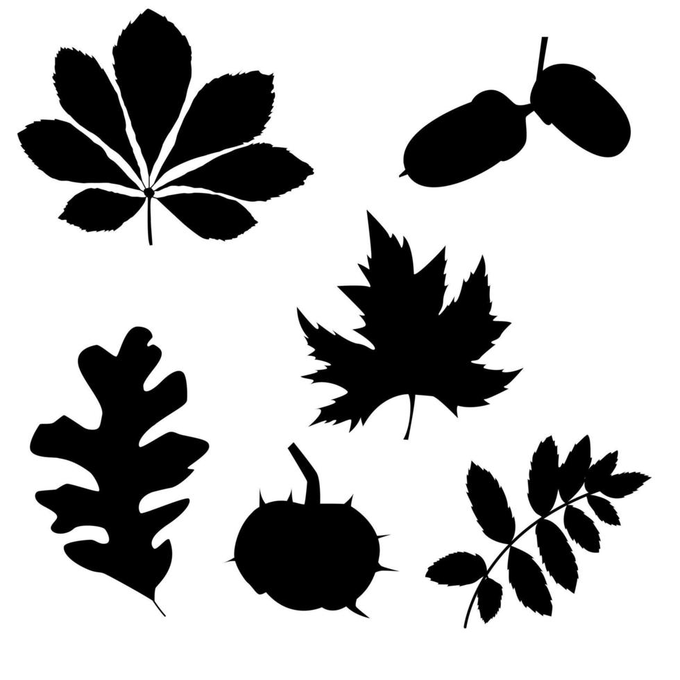 een reeks silhouetten van bladeren, kastanje, eik, lijsterbes, esdoorn. vector geïsoleerd op een witte achtergrond