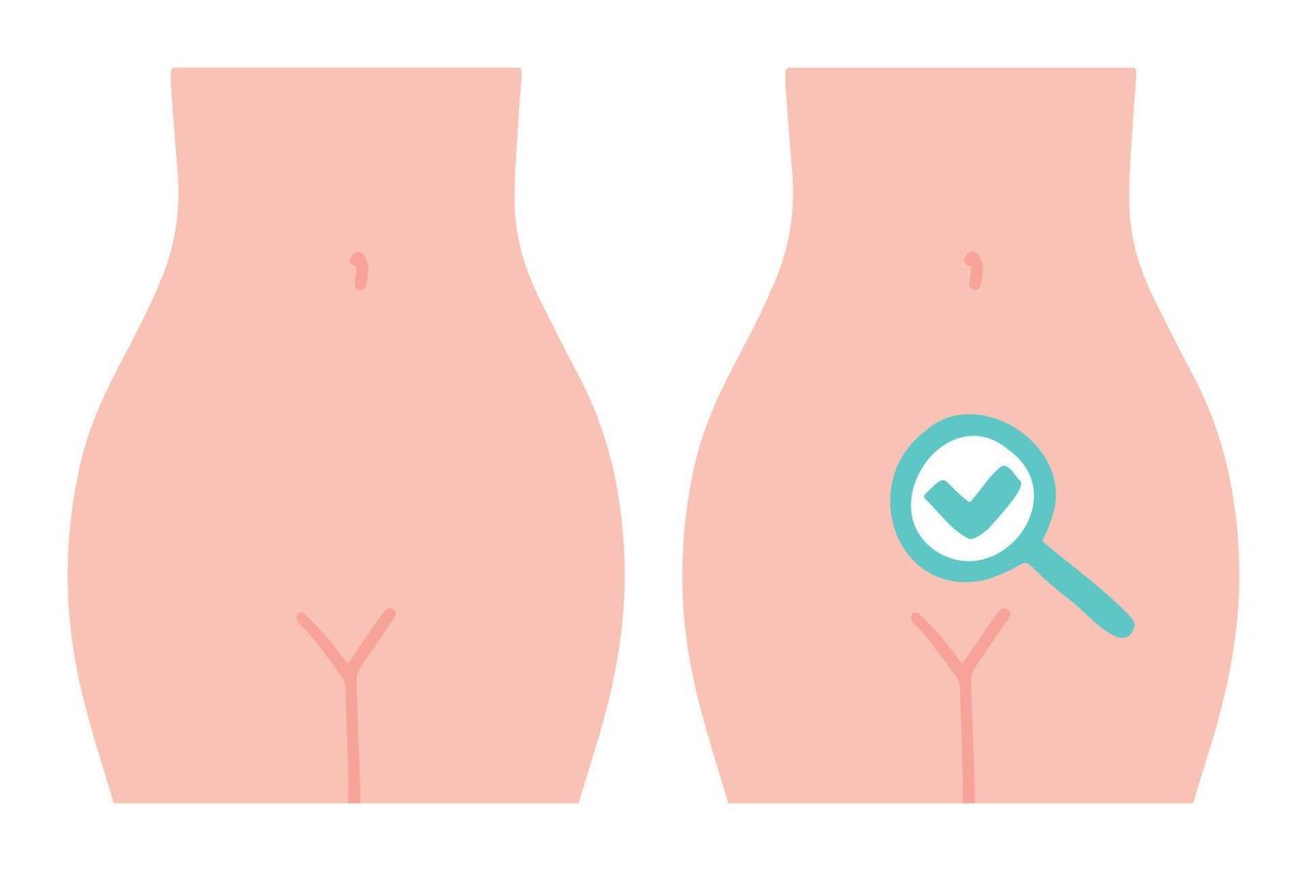 gynaecologische controle. medisch EXAMEN. gynaecologie echografie. vector