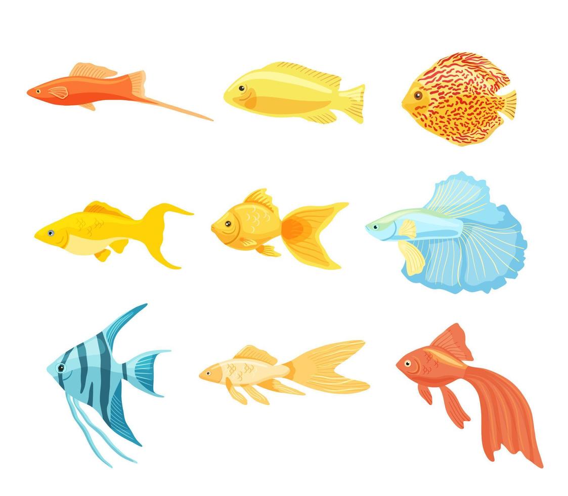 set van aquariumvissen clipart. verzameling van prachtige ongebruikelijke binnenlandse vissen. vectorillustratie in cartoon-stijl is geïsoleerd op een witte achtergrond vector