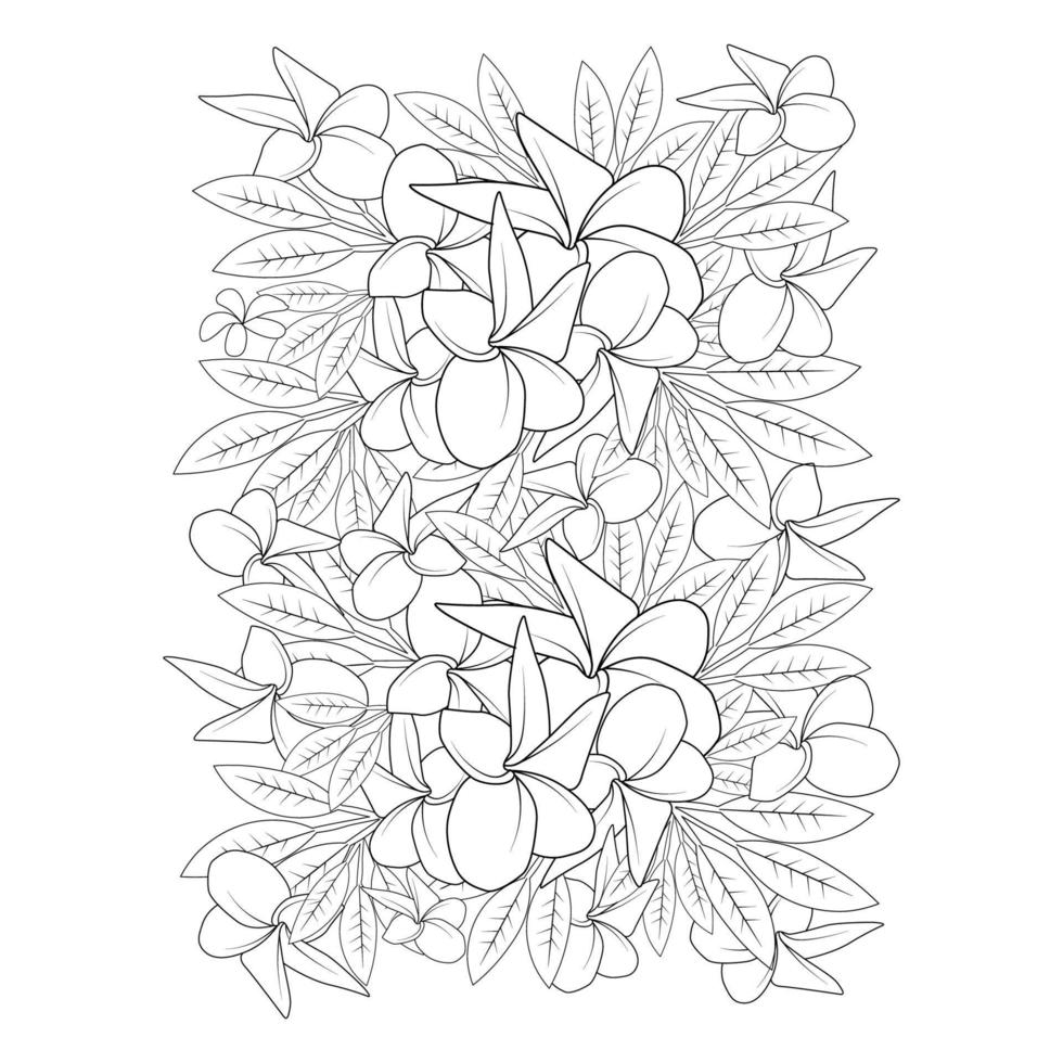 Plumeria bloem doodle kleurplaat pagina overzicht vectorillustratie van geïsoleerd op witte achtergrond vector