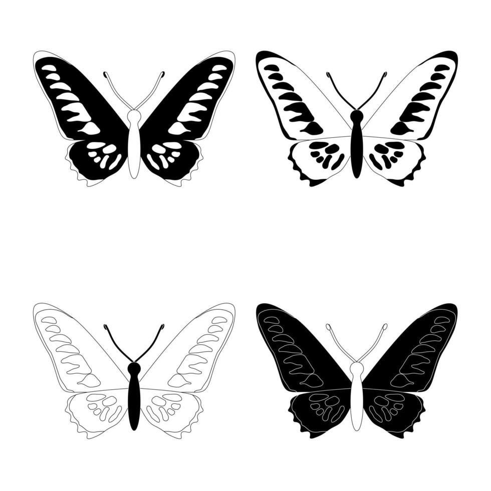 soorten set, zwart-wit vlinder insecten, vlakke stijl. vector