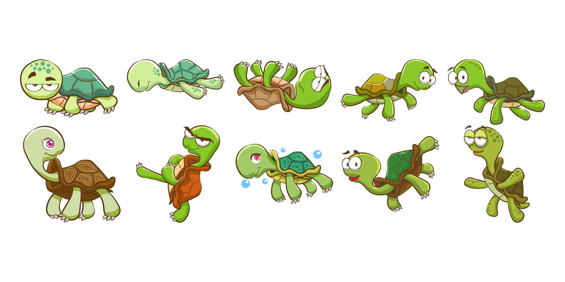 cartoon schildpad set vector