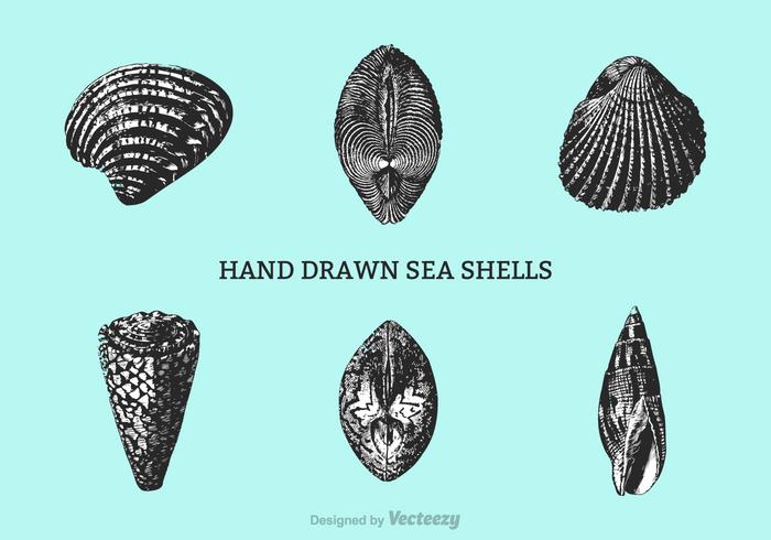 Vrije Hand Getrokken Shells Vector