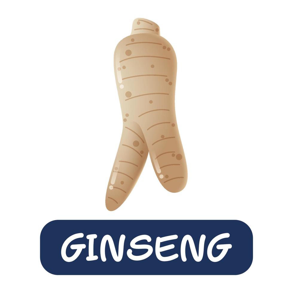 cartoon ginseng groenten vector geïsoleerd op witte achtergrond