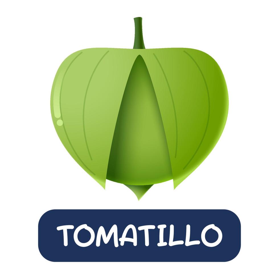 cartoon tomatillo groenten vector geïsoleerd op witte achtergrond