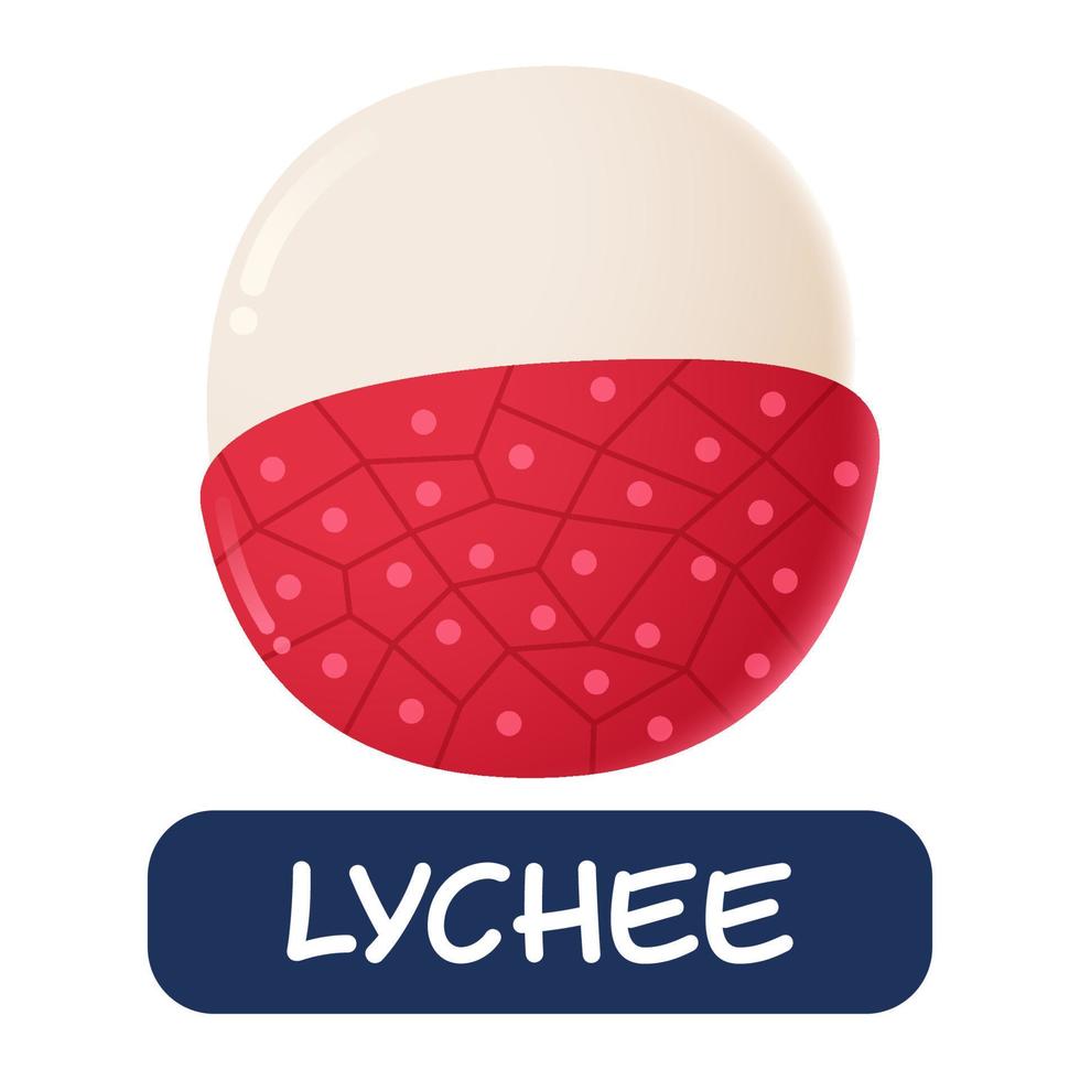 cartoon lychee fruit vector geïsoleerd op een witte achtergrond