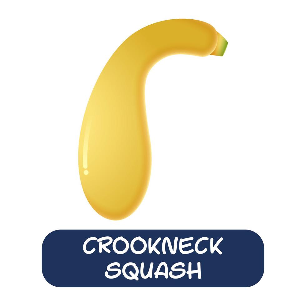 cartoon crookneck squash groenten vector geïsoleerd op witte achtergrond