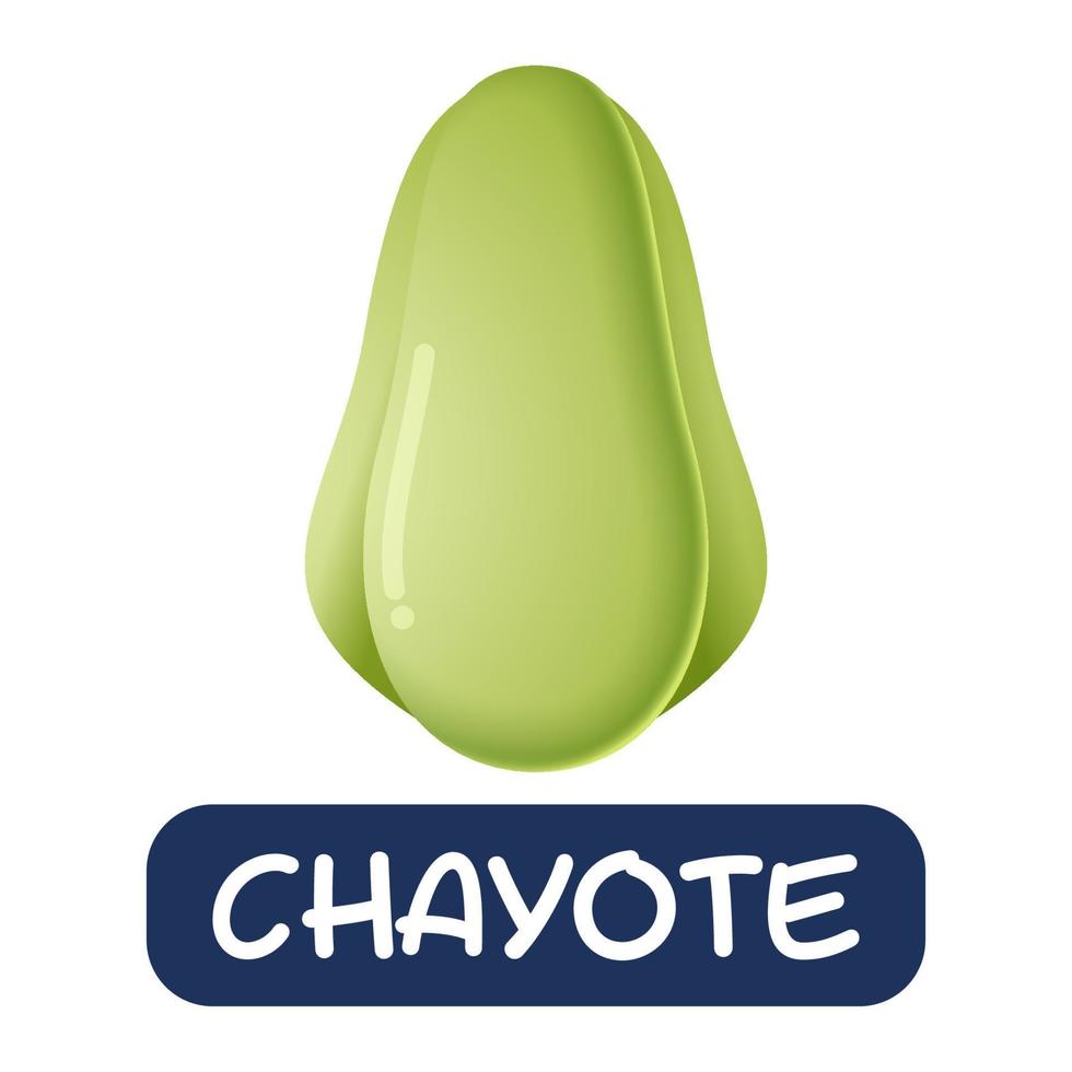 cartoon chayote groenten vector geïsoleerd op witte achtergrond