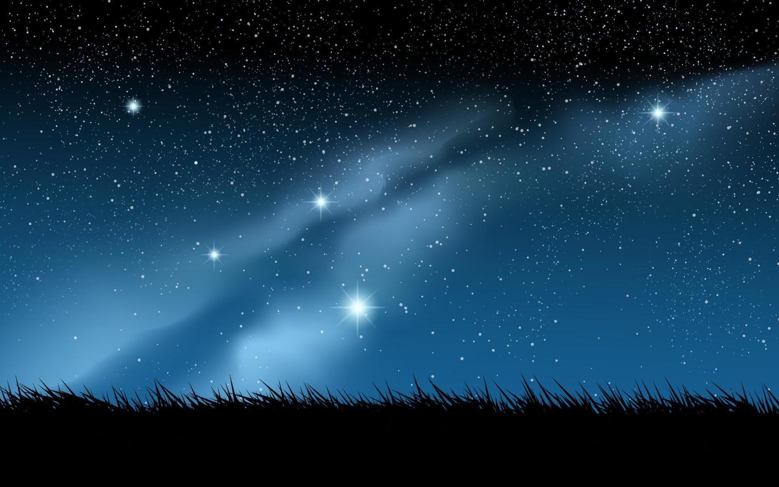 nachtelijke hemelillustratie met gras en melkweg vector