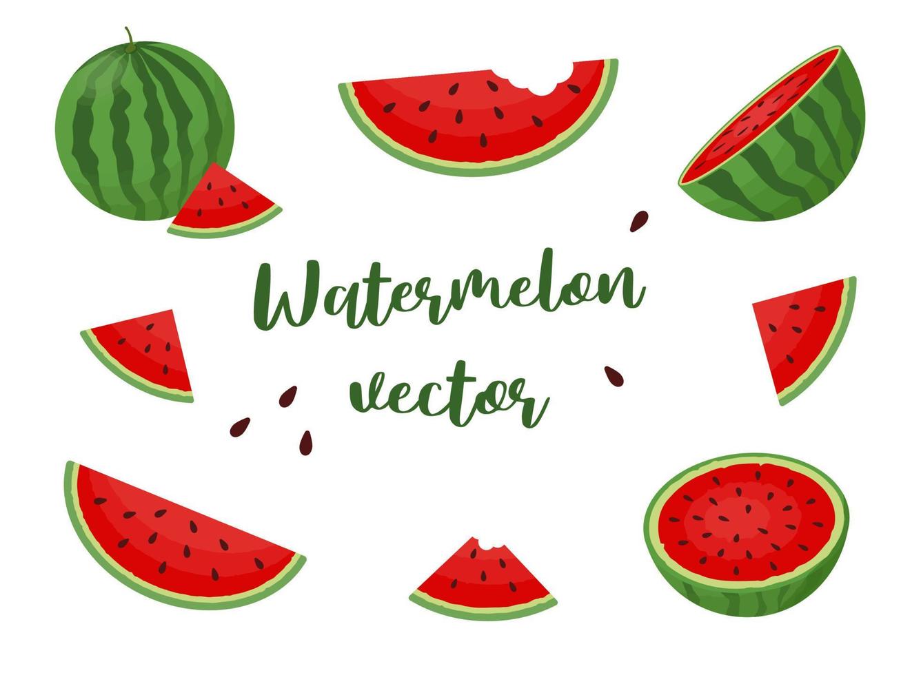 set van verse en sappige hele watermeloenen en plakjes, vectorwatermeloen vector