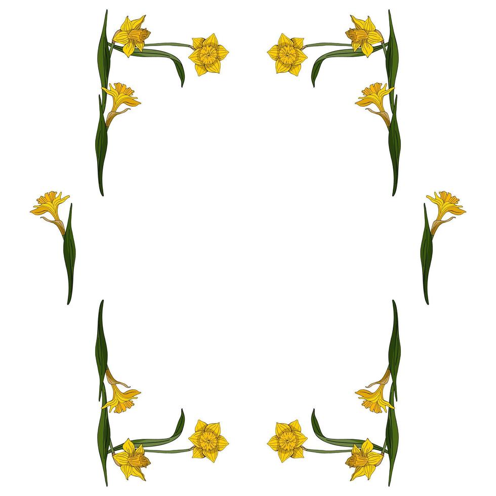 rechthoekig frame gemaakt van gele narcissen. decoratief element met bloemen op een witte achtergrond voor uw ontwerp vector