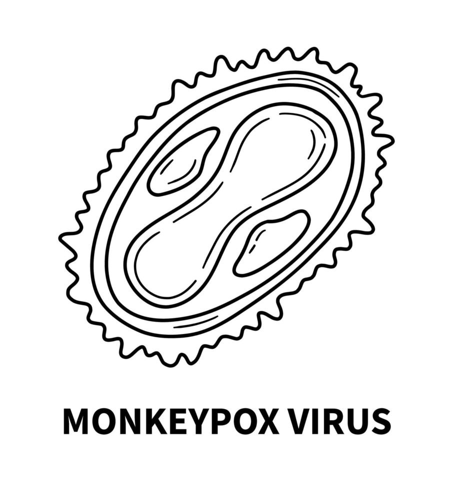 apenpokkenvirus interne structuur van de cel in close-up vector