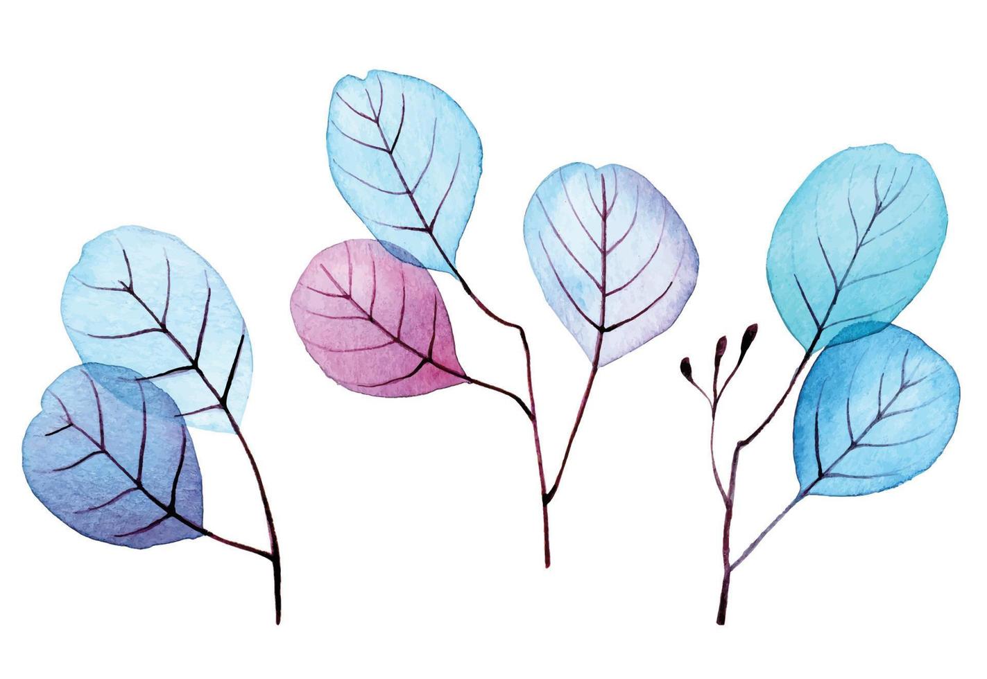 aquarel tekening. set transparante eucalyptusbladeren. blauwe en roze transparante eucalyptus bladeren geïsoleerd op een witte achtergrond. clip art vector