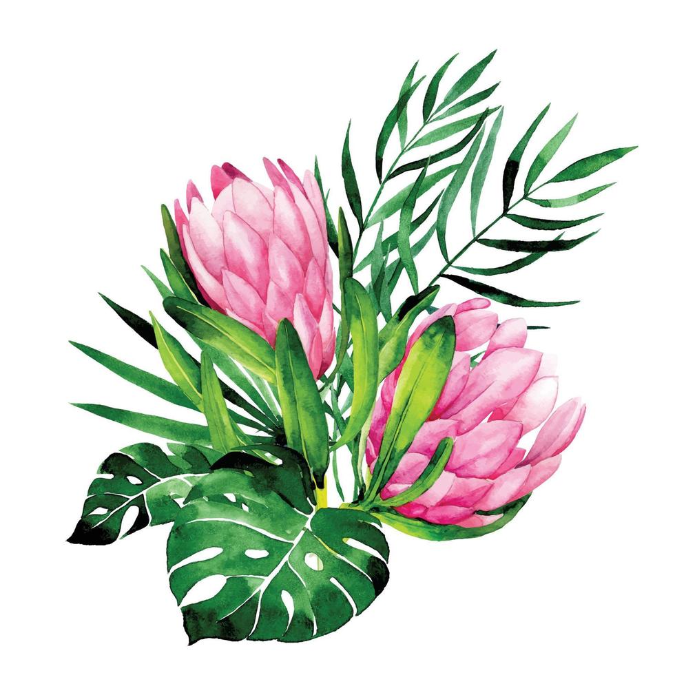 aquarel tekening boeket van tropische bloemen en bladeren. samenstelling van protea bloemen en bladeren van palm en monstera. clipart geïsoleerd op witte achtergrond vector