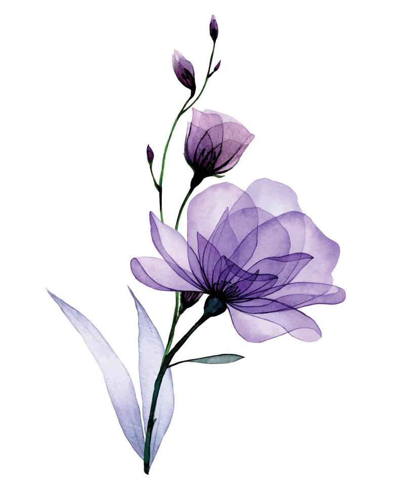 compositie met transparante bloemen. paarse rozen, wilde roze bloemen en bladeren. delicaat röntgenpatroon vector