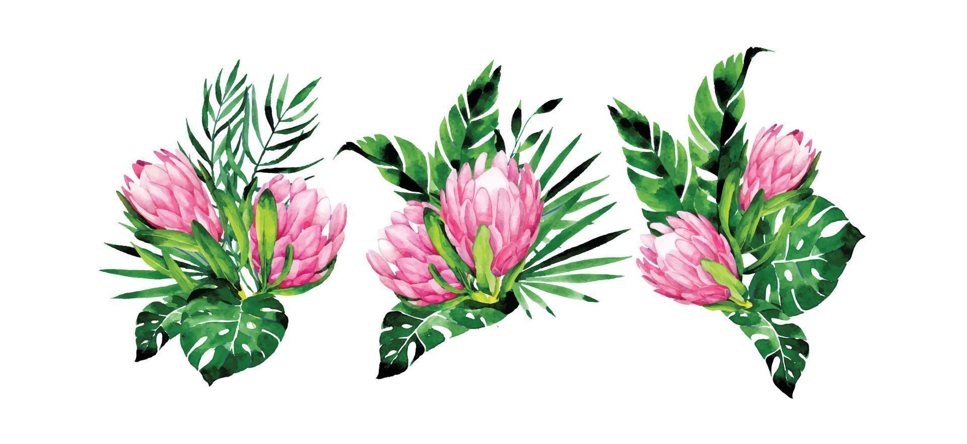 aquarel tekening. set van boeketten van tropische bloemen en bladeren. roze protea bloemen en monstera bladeren, palmen. ontwerp elementen vector