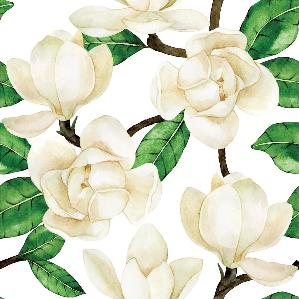 aquarel naadloos patroon met witte magnolia's. vintage delicate print, magnolia bloemen en bladeren op witte achtergrond vector