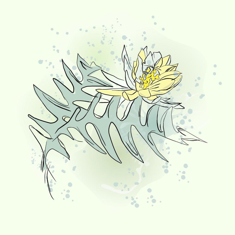 hand getekend vectorillustratie met aquarel epiphillum bloem. vector