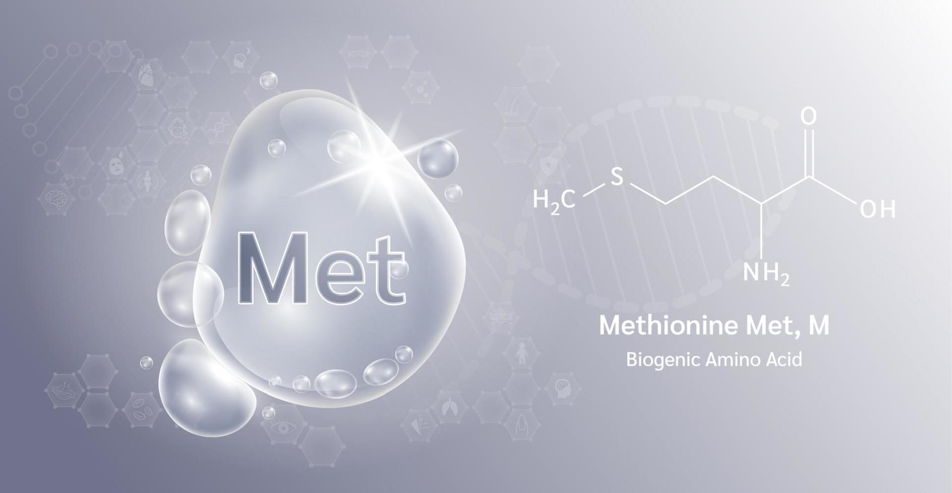 waterdruppel belangrijk aminozuur methionine ontmoet, m en structurele chemische formule. lysine op een grijze achtergrond. medische en wetenschappelijke concepten. 3D-vectorillustratie. vector