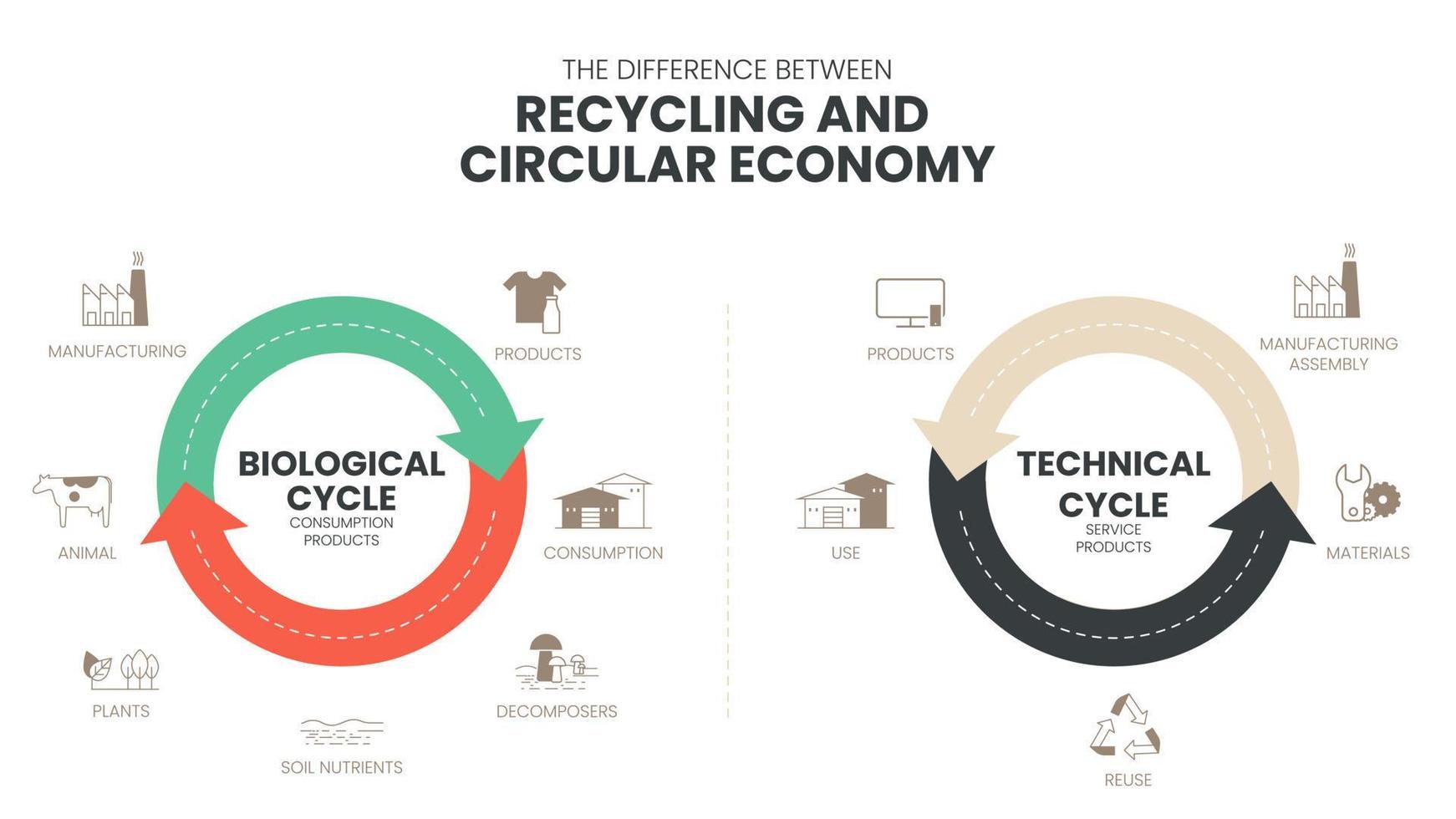 het vector infographic diagram van het verschil tussen de circulaire economie en recycling heeft de biologische cyclus in consumptieproductie en de technische cyclus in-service producten voor groen.