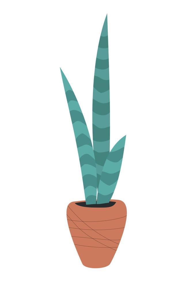 huis plant aloë vera in een pot op witte achtergrond. plant bloemdessin. ontwerpelement. vector