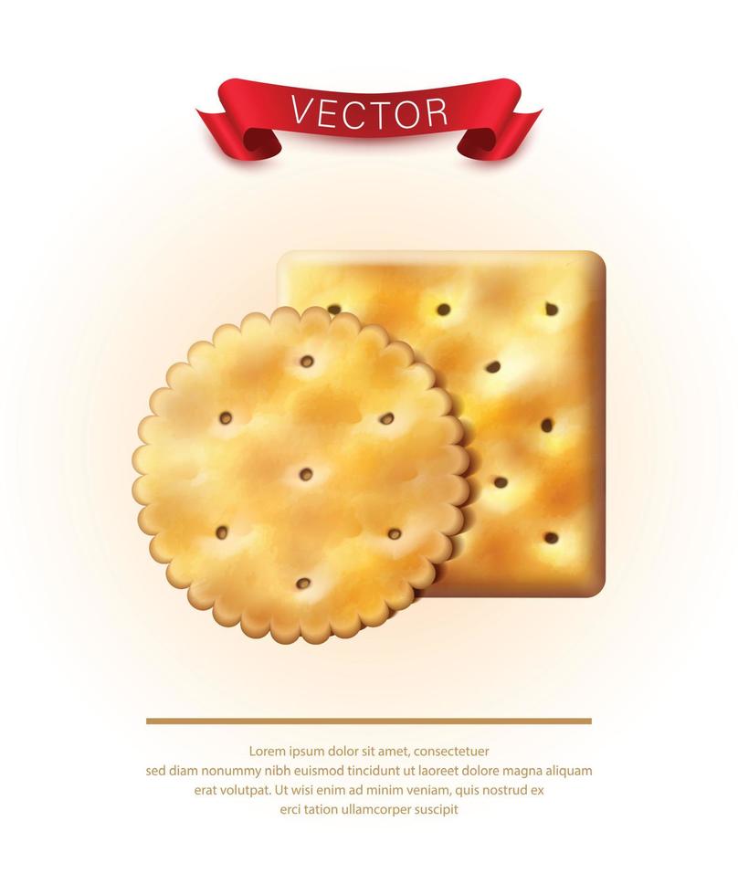 vectorpictogram. realistische ronde en vierkante cracker voor merkembleem en verpakking. vector