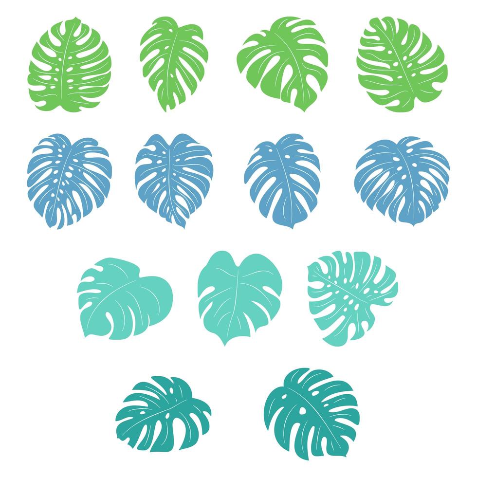 set van monstera tropische planten vector