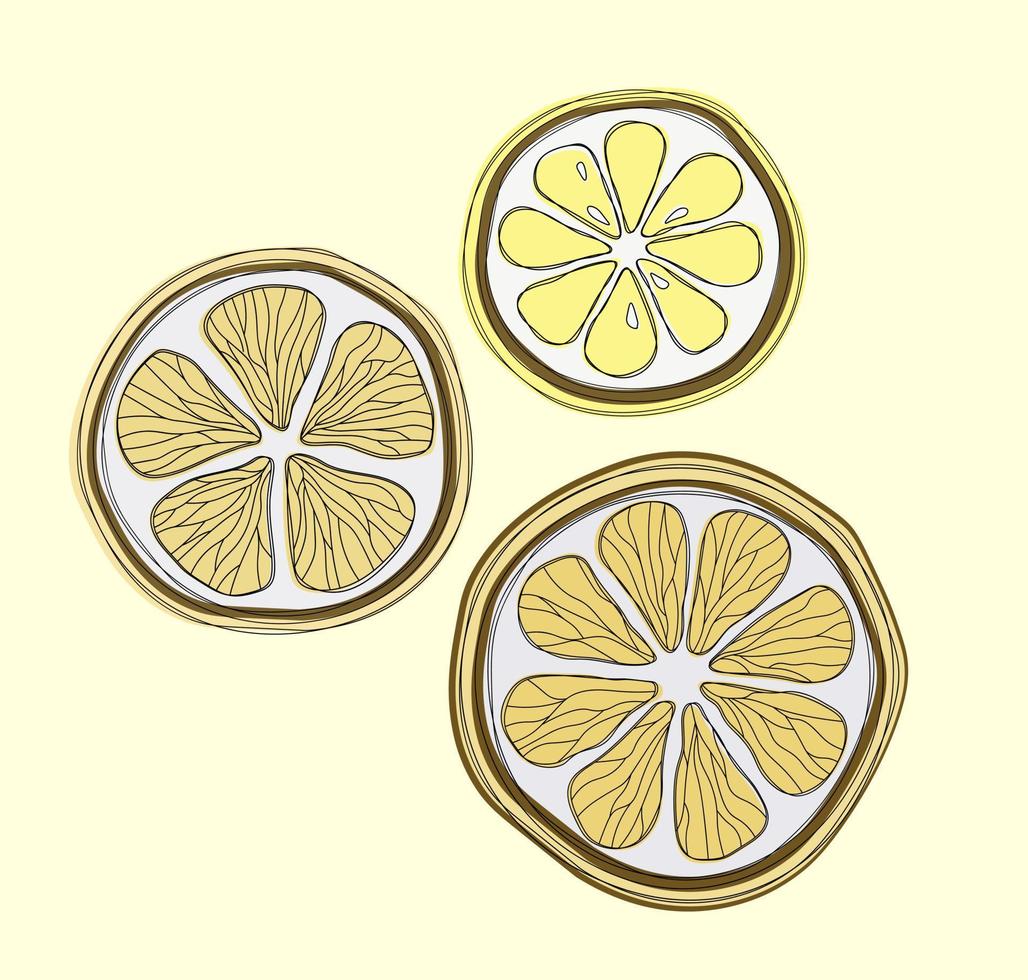 kleine set met partjes citroen vector