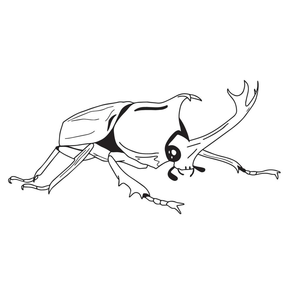 hand getekende kever. zwart-wit insect voor ontwerp, pictogrammen, logo of print. hand tekenen illustratie voor halloween. vector. vector