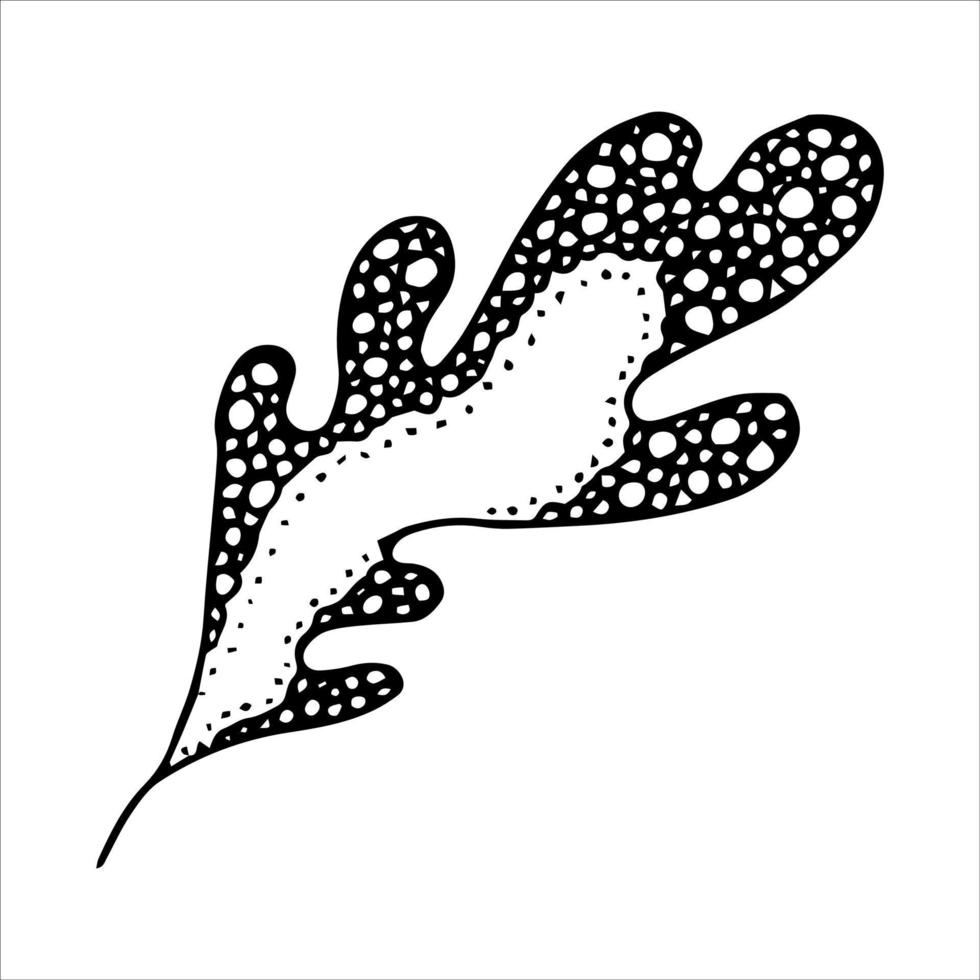 vector hand getekend eikenblad. herfst illustratie. gedetailleerde botanische clipart.