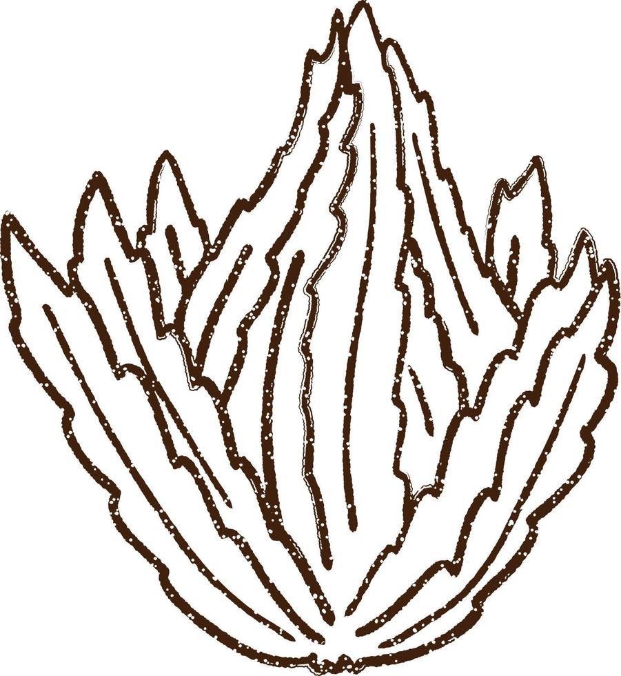 zeewier houtskool tekening vector