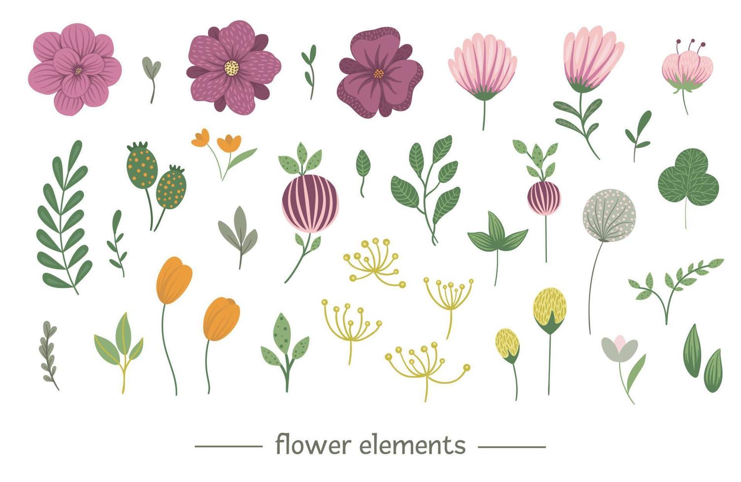 vector bloemen illustraties set. platte trendy illustratie met bloemen, bladeren, takken. weide, bos, bos elementen geïsoleerd op een witte achtergrond.