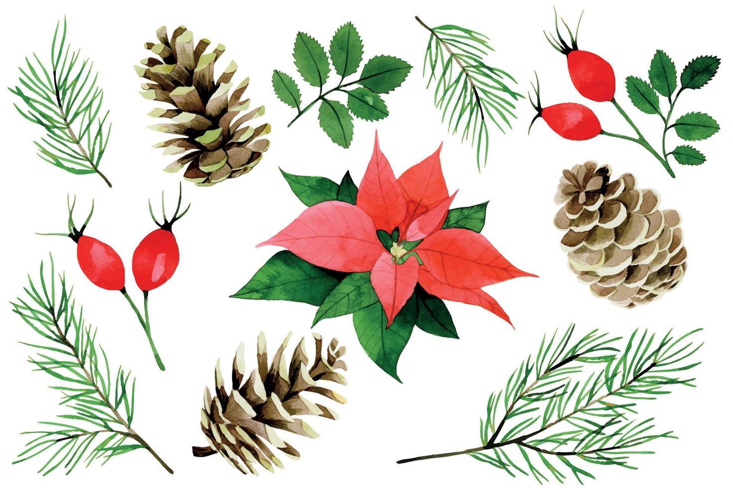 aquarel kerst, winter set. poinsettia, rode bessen en bladeren van wilde roos, dennentakken en kegels geïsoleerd op een witte achtergrond. vintage collectie voor het nieuwe jaar vector