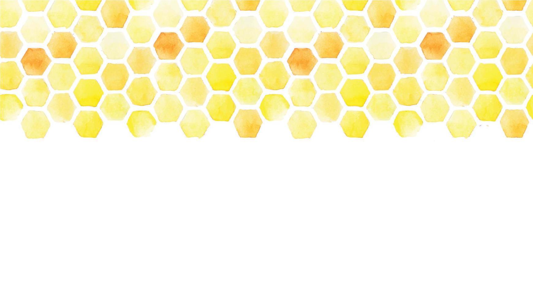 horizontale naadloze patroon. aquarel tekenen gele honingraat. frame, grens op een witte achtergrond. abstracte achtergrond over het thema bijenteelt, landbouw, honing verkopen vector