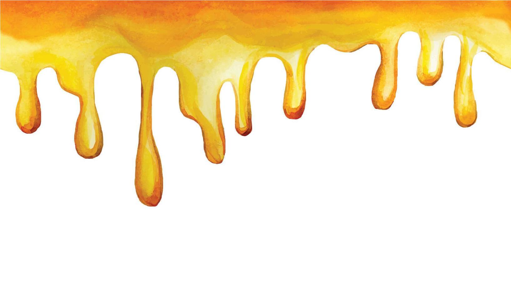 naadloze randdruppels van gele honing. aquarel tekenen, frame, grens met gele honing druipende druppels. print, webbanner voor landbouw, bijenteelt, zoet voedsel vector