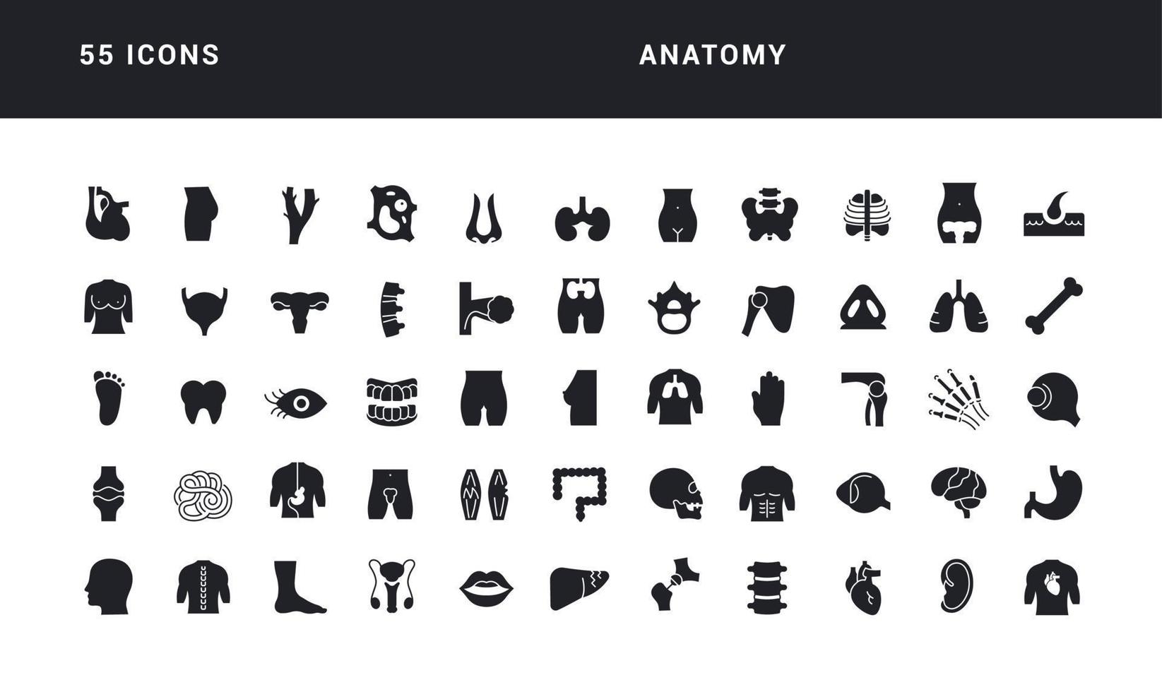 set van eenvoudige iconen van anatomie vector