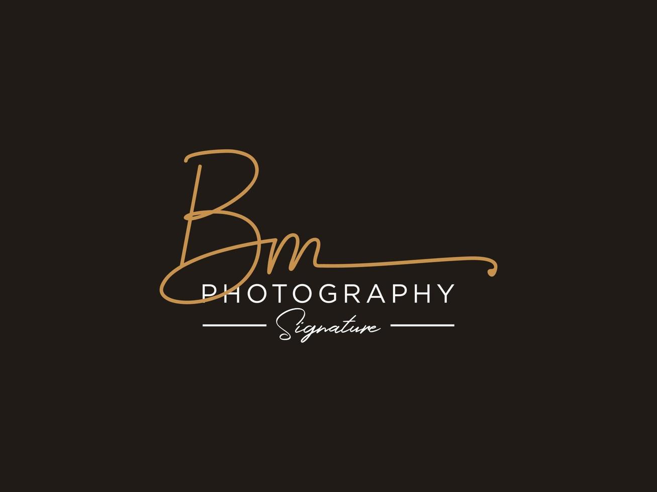 brief bm handtekening logo sjabloon vector