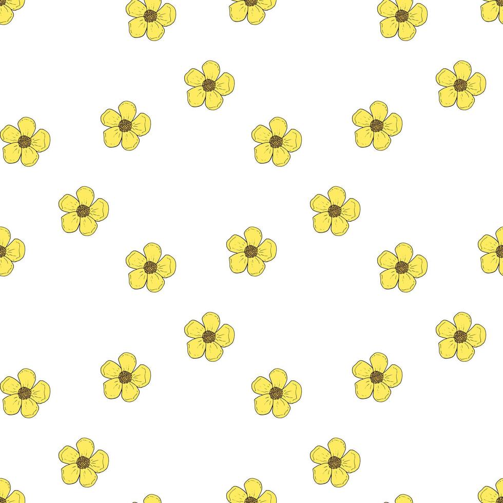 naadloze patroon met gele boterbloemen op witte achtergrond voor stof, textiel, kleding, tafelkleed en andere dingen. vector afbeelding.