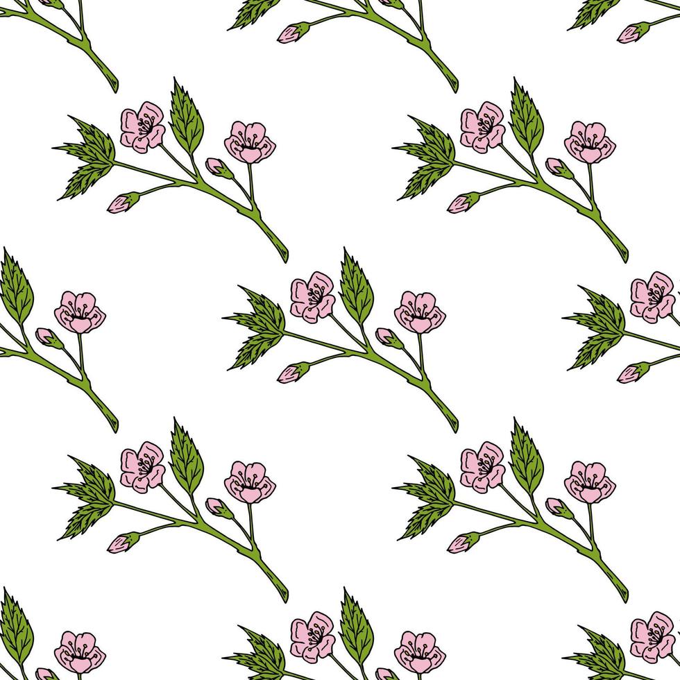 naadloze patroon met gezellige sakura takken op witte achtergrond. vector afbeelding.