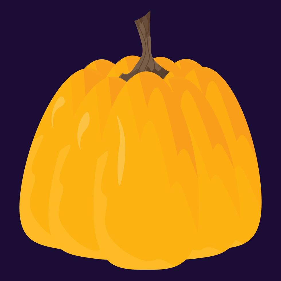 herfst kleurrijke pompoen voor halloween-decoratie of decoratie, oogst vector