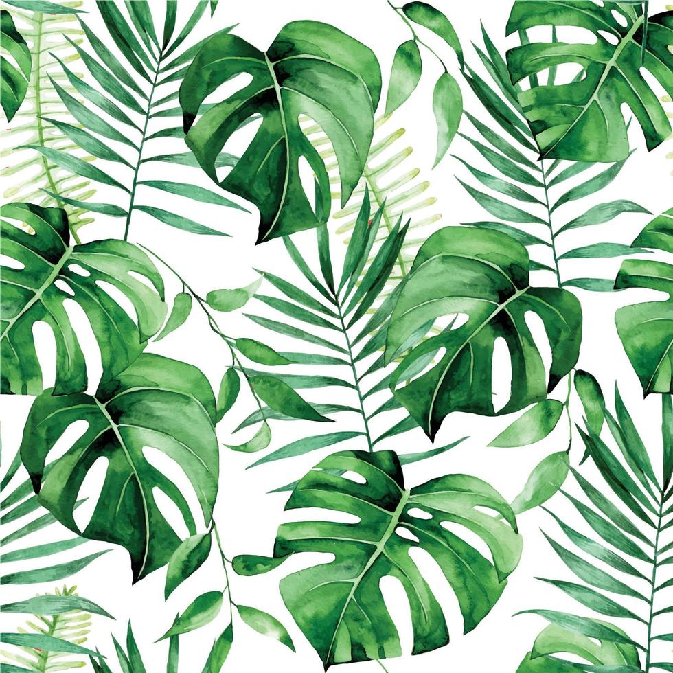 aquarel naadloze tropische patroon. print met tropische groene bladeren op een witte achtergrond. palmbladeren, monstera, jungleplanten vector