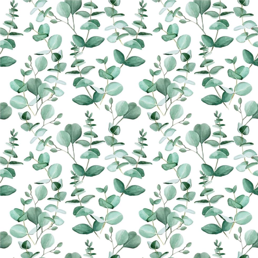 naadloze patroon met aquarel eucalyptus bladeren op een witte achtergrond. groene bladeren van een tropische plant. vintage achtergrond voor behang, textiel, inpakpapier, scrapbooking. vector