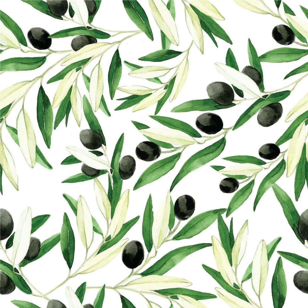 naadloos aquarelpatroon met olijfbladeren en fruit, realistische vintage tekening. zwarte olijven geïsoleerd en witte achtergrond. print voor stof, behang, papier. vector