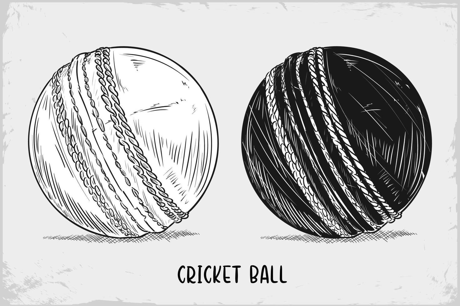 hand getekende cricket bal schets geïsoleerd op een witte achtergrond, gedetailleerde vintage ets tekening vector