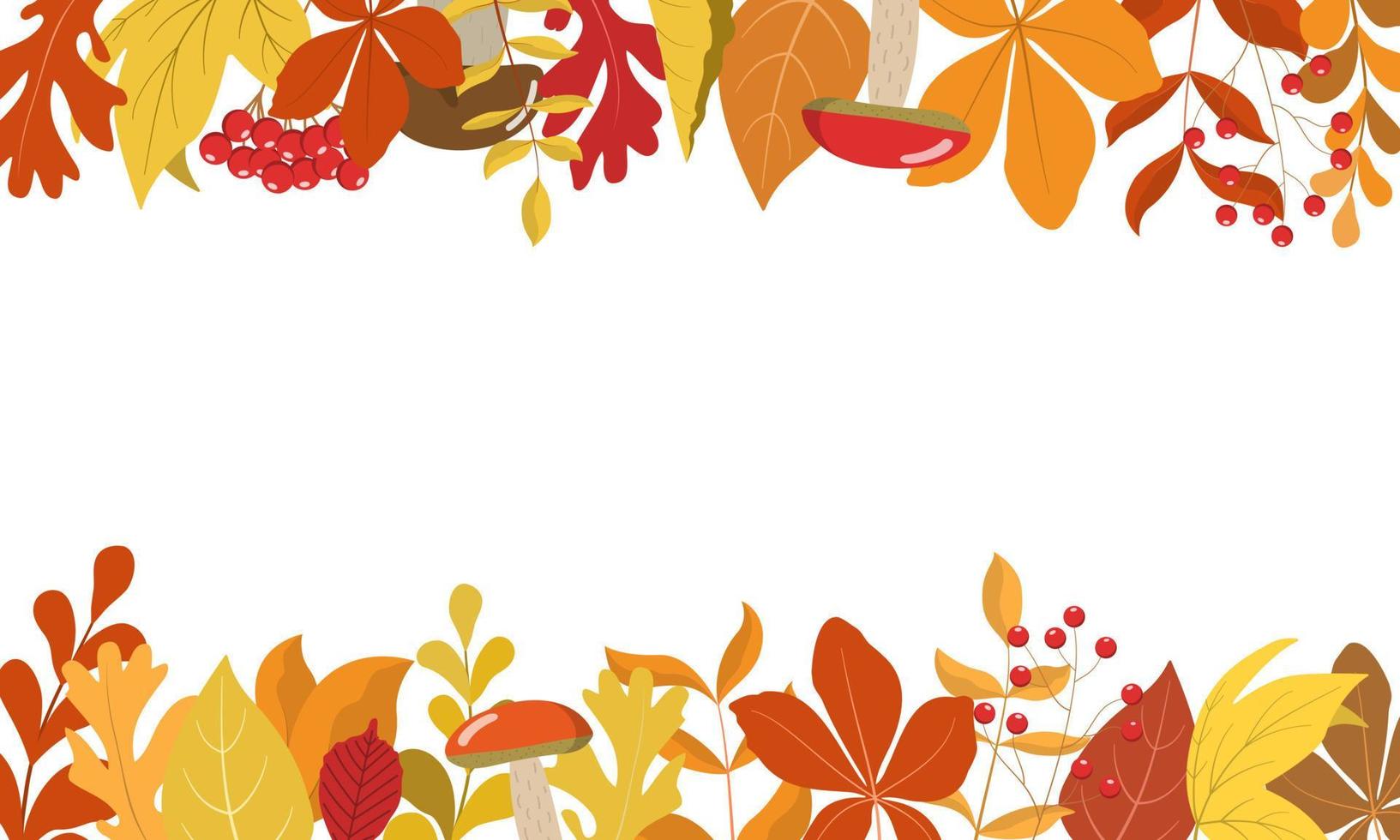 herfst bos verlaat horizontale grens frame. seizoensgebonden oranje, gele, bruine bladeren, schattige paddenstoelen, lijsterbessen. geweldig ontwerp voor Thanksgiving Day, oogstvakantie. geïsoleerd op een witte achtergrond. vector