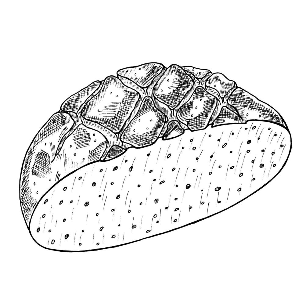 brood, sneetje brood handtekening schets gravure illustratie stijl vector